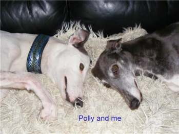 Joey and Polly