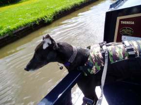 Rodney on canal