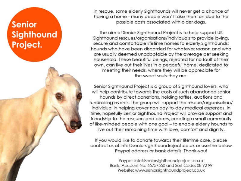 Senior Sighthound Project